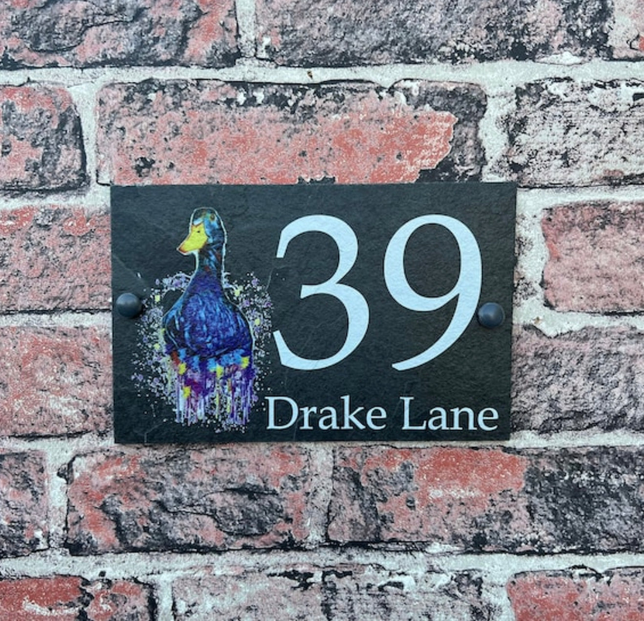 Duck slate house sign