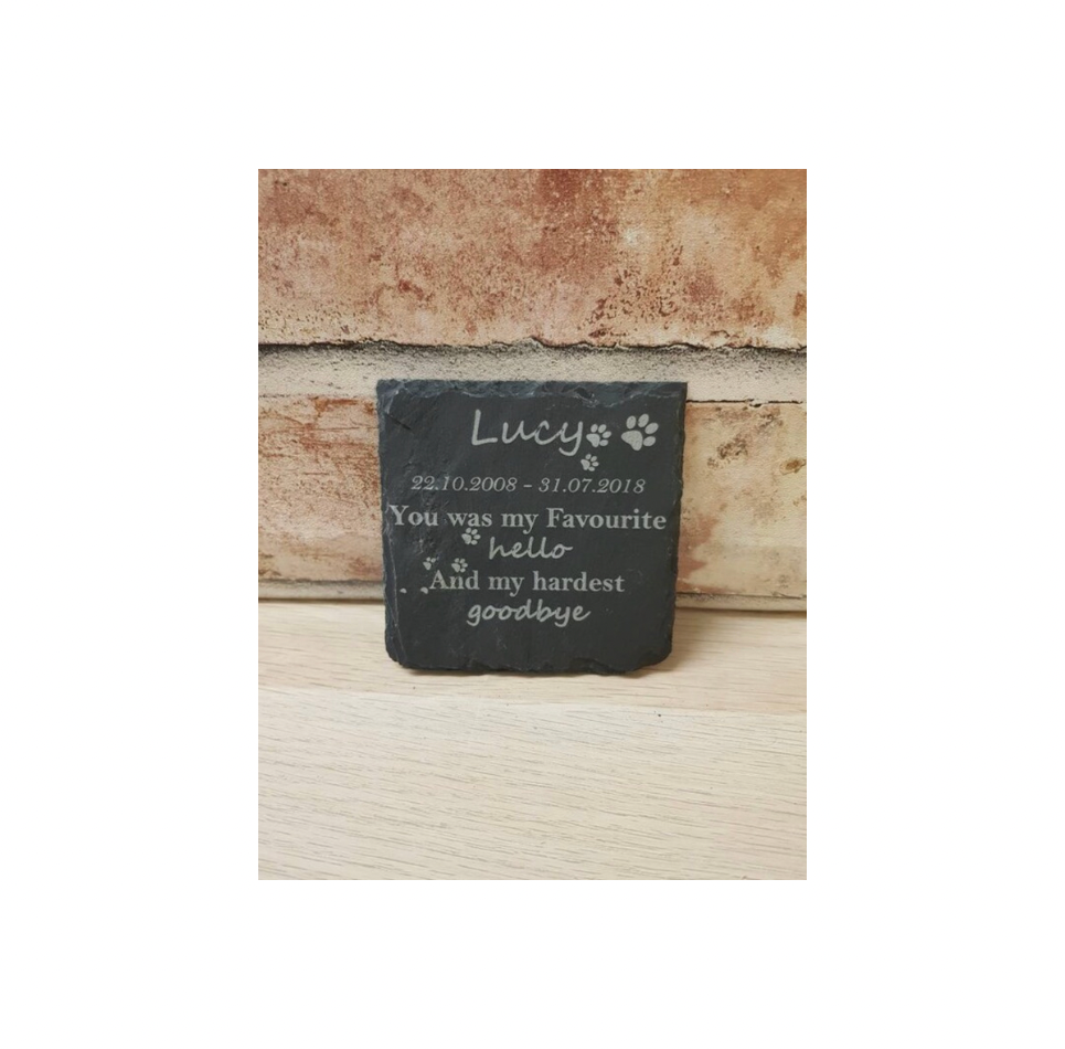 You were my favourite hello pet memorial plaque