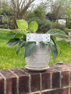 Acrylic Butterfly plant pot memorial plaque