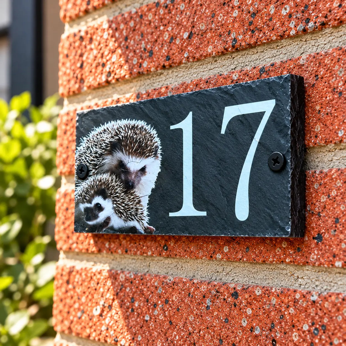 Number slate house sign hedgehog small