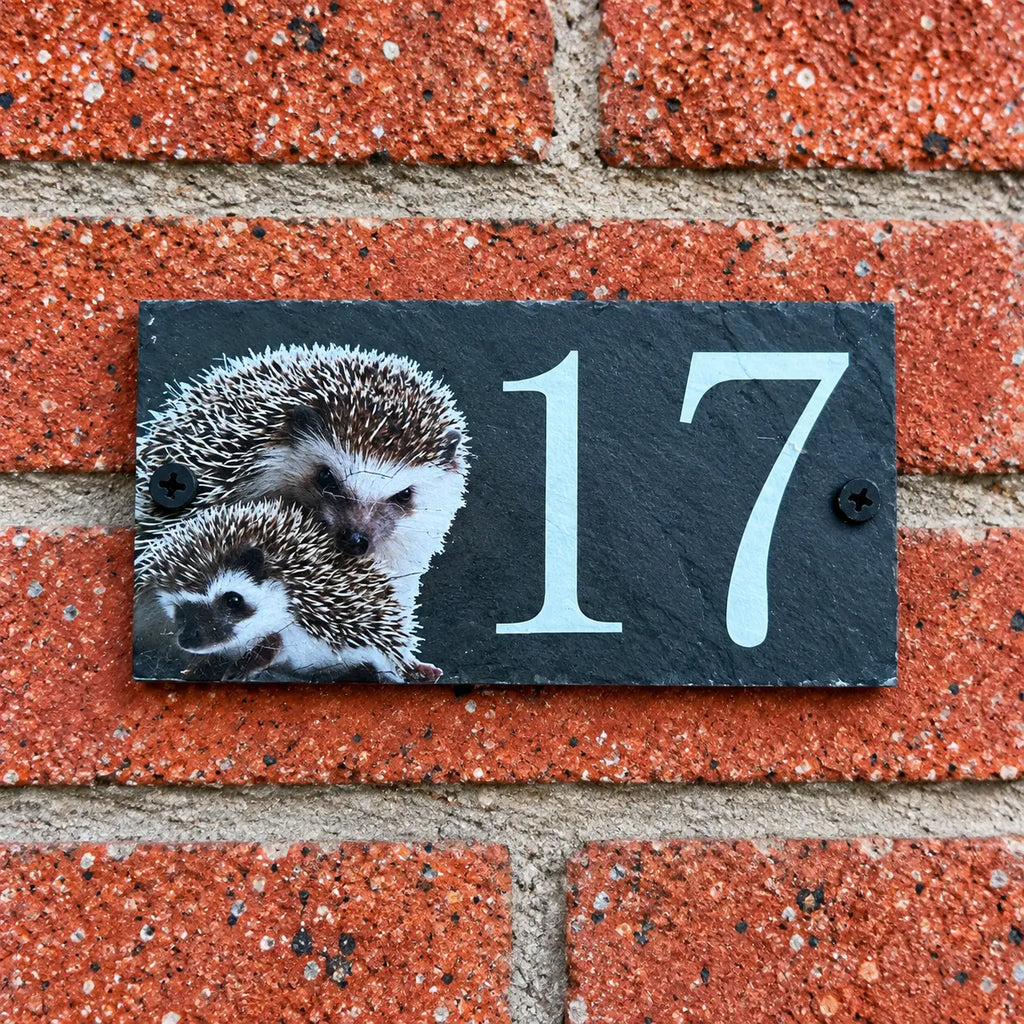 Number slate house sign hedgehog small