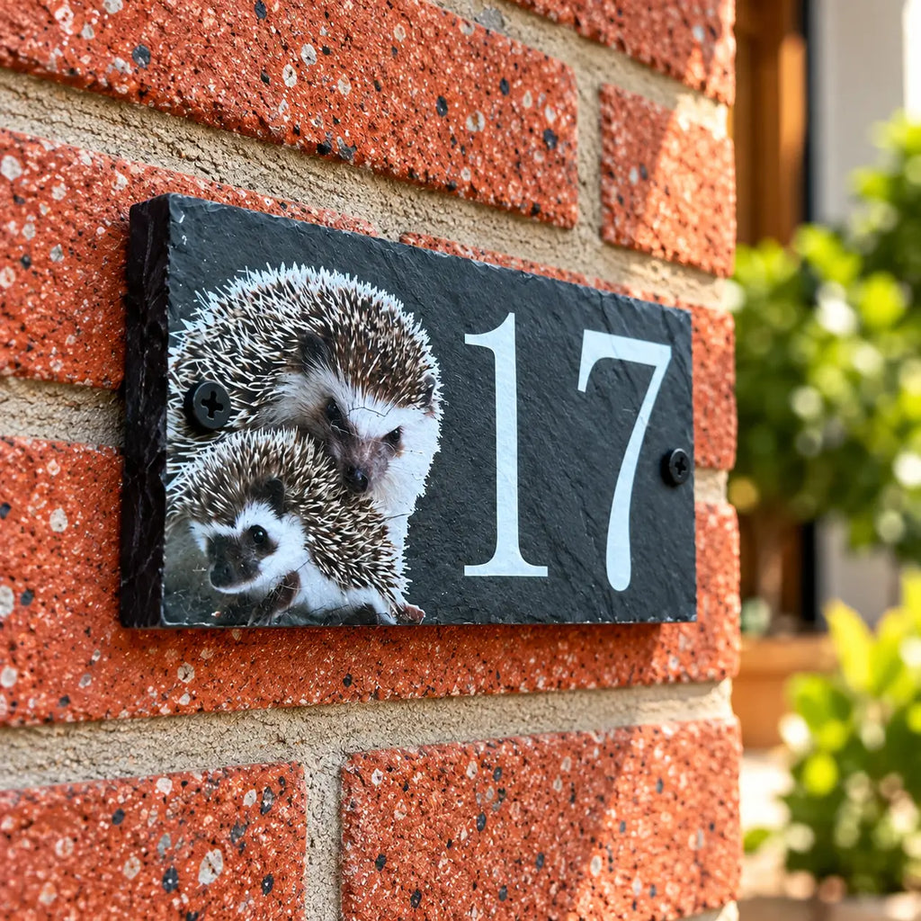 Number slate house sign hedgehog small