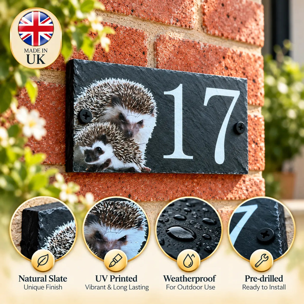 Number slate house sign hedgehog small