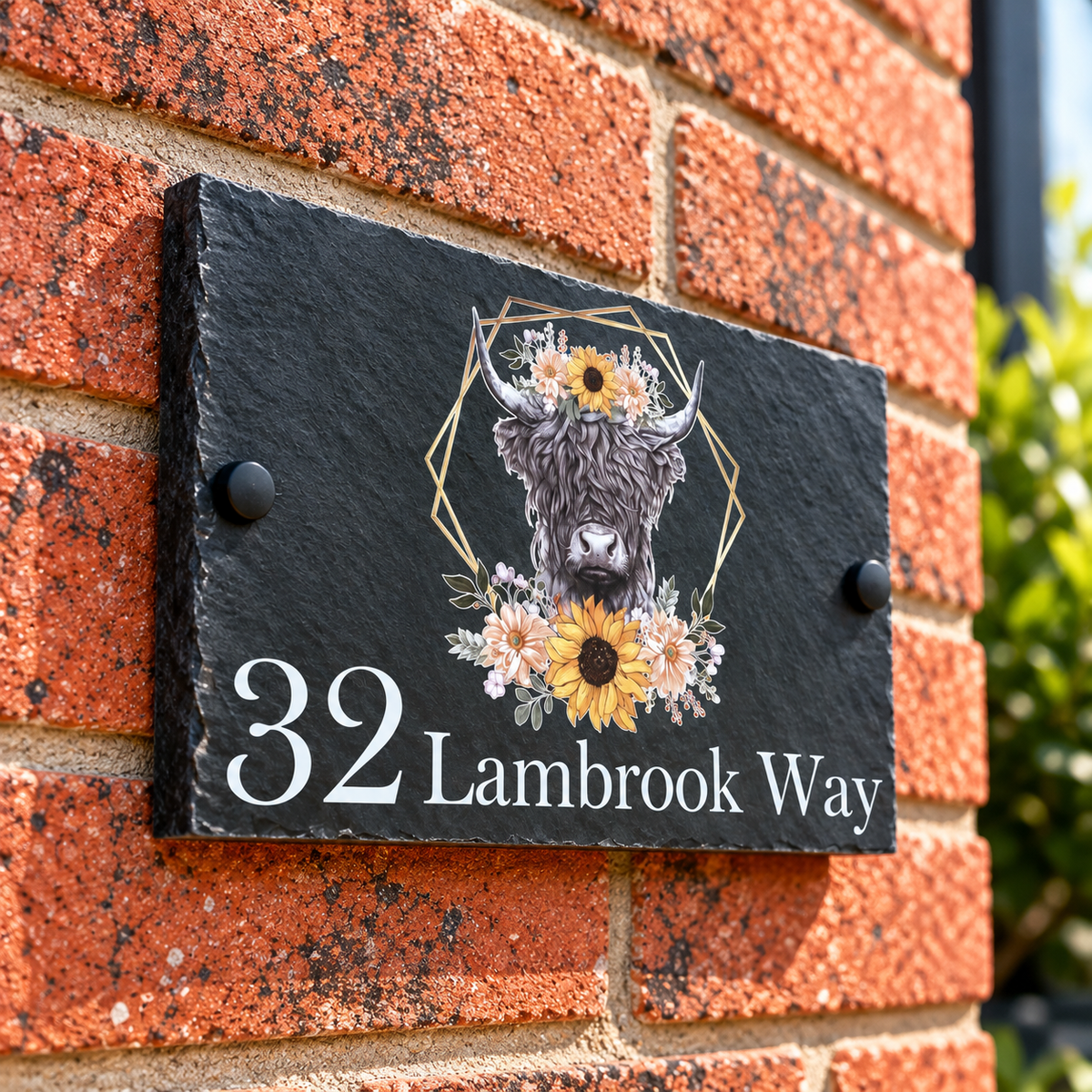 Highland cow slate house sign