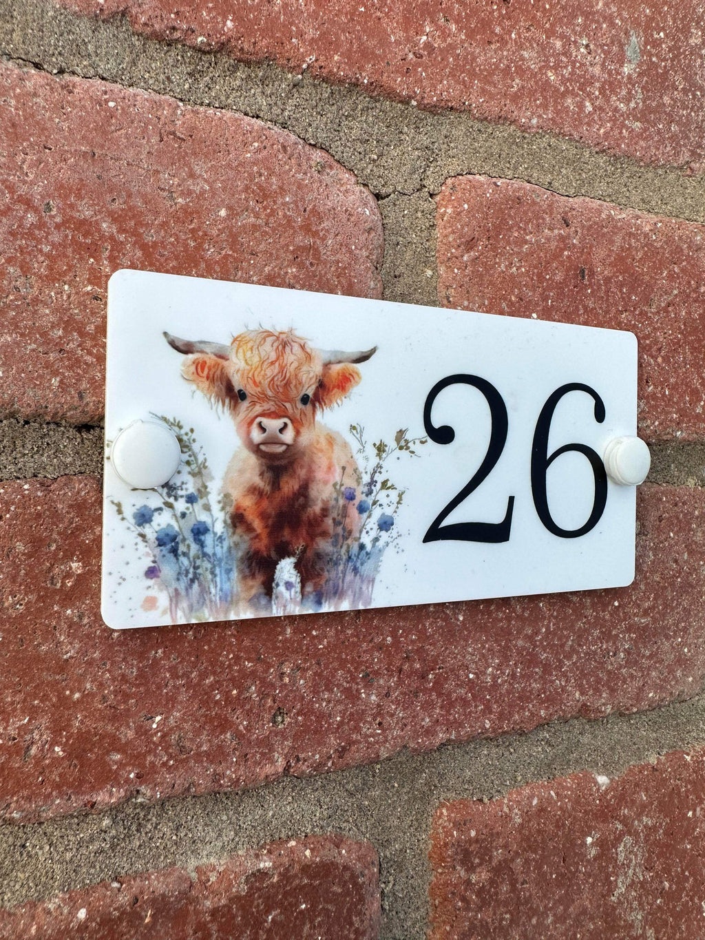 Acrylic house sign highland cow floral small