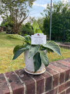 Acrylic Memorial Plaque & Plant Pot