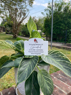 Acrylic Memorial Plaque & Plant Pot