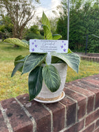 Acrylic Purple Butterflies plant pot memorial plaque