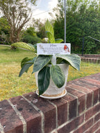 Acrylic Robin plant pot memorial plaque
