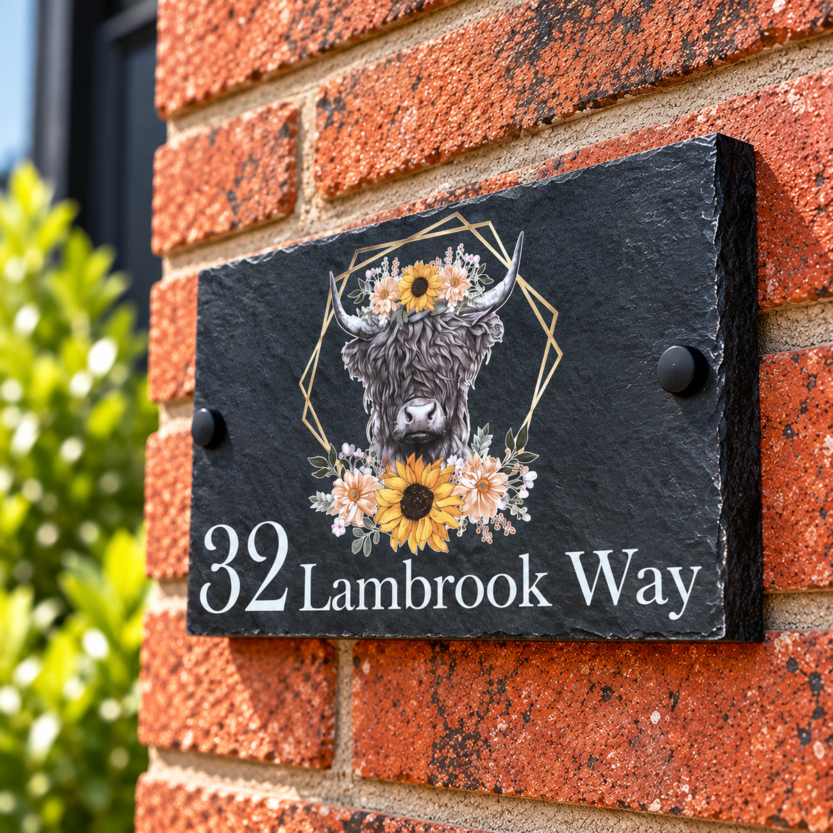 Highland cow slate house sign