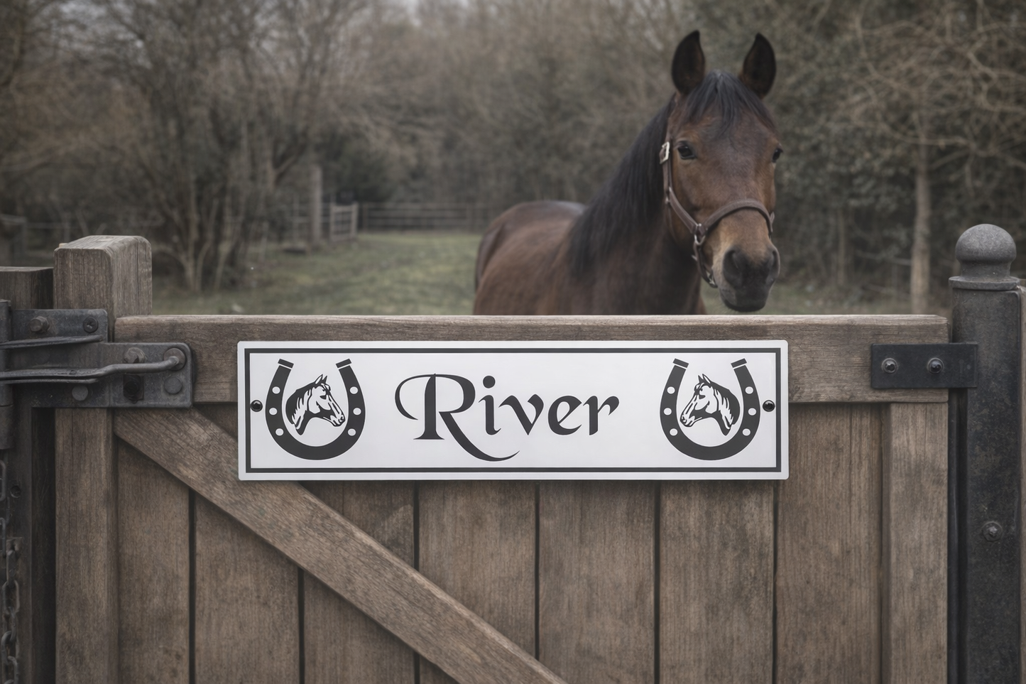 Horse Stable Door Sign Acrylic With Boarder - Free Mucking Fabulous Slate Coaster
