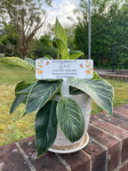 Acrylic Yellow Flowers plant pot memorial plaque