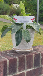 Acrylic Tulip plant pot memorial plaque