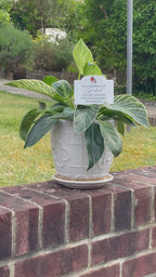 Acrylic Memorial Plaque & Plant Pot