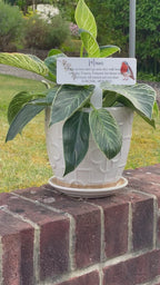 Acrylic Robin plant pot memorial plaque