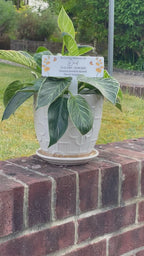 Acrylic Yellow Flowers plant pot memorial plaque