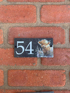 Number slate house sign floral highland cow small