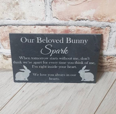 When tomorrow starts without me pet memorial plaque