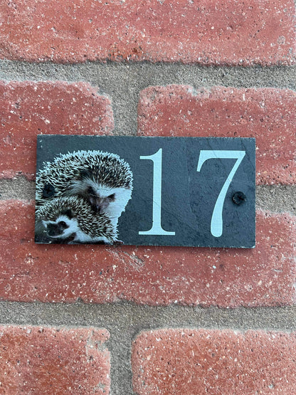 Number slate house sign hedgehog small