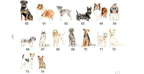 Dog breeds acrylic house sign