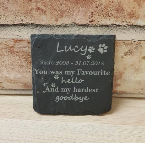 You were my favourite hello pet memorial plaque
