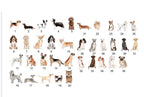 Dog breeds acrylic house sign